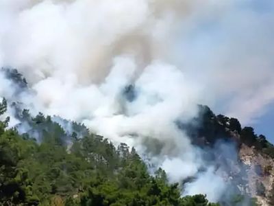 Muğla, İzmir ve Antalya'da Orman Yangını: Dumanlar Etrafı Sardı!