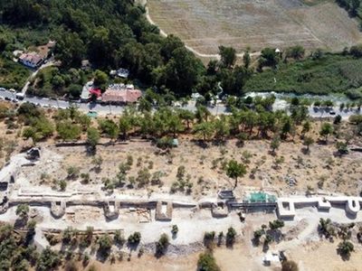 Muğla'da Heyecanlandıran Keşif: Yedi Tane Bulundu!