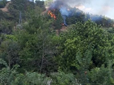 Muğla'da korkutan orman yangını! 2 uçak, 3 helikopter ve arazöz ekipleri yangına müdahalede bulunuyor!