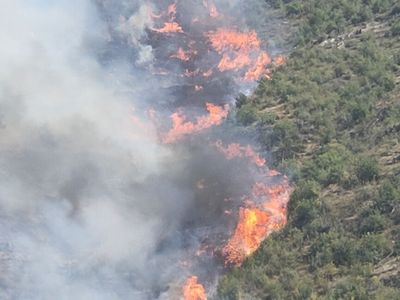 Muğla’da korkutan orman yangını: Olay yerine birçok ekip sevk edildi