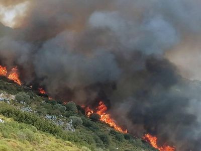 Muğla'da makilik yangını: Bölgeye ekipler sevk ediliyor!