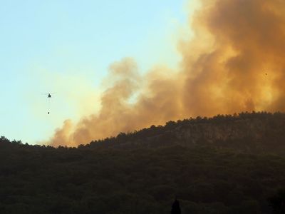 Muğla’da meydana gelen orman yangınına müdahale devam ediyor: Valilikten ilk açıklama geldi