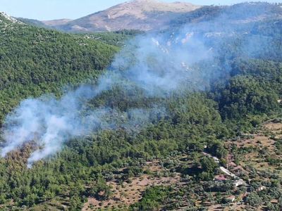 Muğla’da orman yangını: Ekipler müdahale ediyor