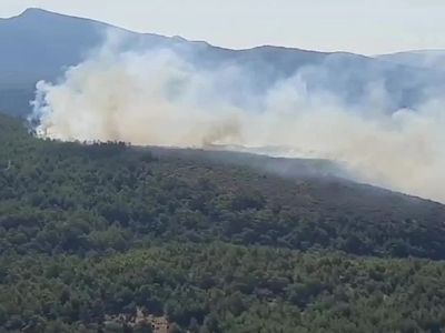 Muğla’da orman yangını: Hava ve karadan yoğun müdahale ediliyor
