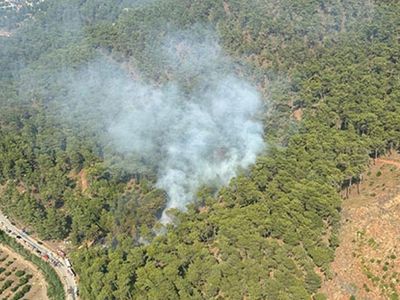 Muğla’da paniğe neden olan orman yangını: Ekipler kısa sürede kontrol altına aldı