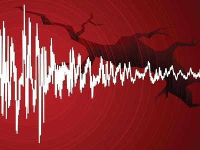 Muğla’da şiddetli deprem: AFAD’dan açıklama var