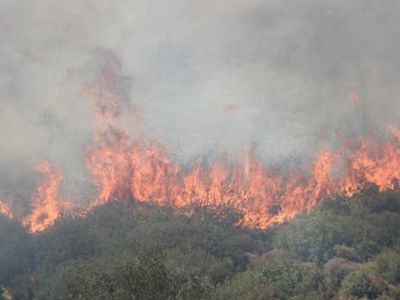 Muğla'daki Çökertme'de Yangın Büyüdü! İşte Son Durum...
