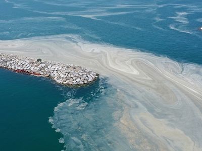 Murat Kurum Açıkladı! Bugüne Kadar 5 Bin 306 Metreküp Müsilaj Toplandı