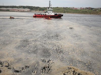 Murat Kurum’dan Açıklama Geldi! Temizlenen Müsilaj Miktarını Açıklandı