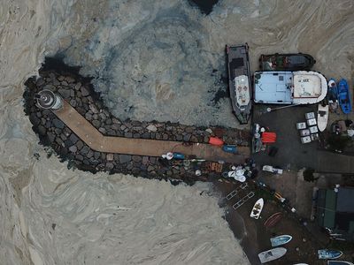 Müsilaj (Deniz Salyası) Peşimizi Bırakmıyor! Şimdi O Şehirde Görüldü