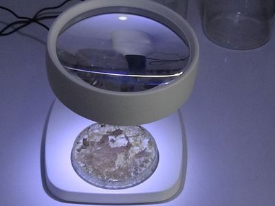 Müsilaj Fırsata Dönebilir mi? Gübre Yapımında Kullanılacak