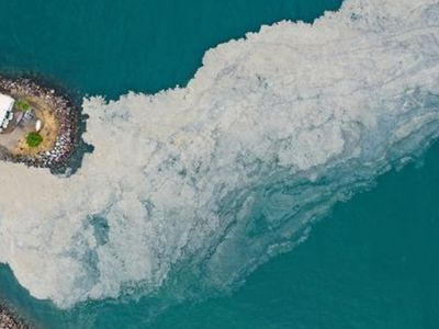 Müsilaj Problemi Devam Ediyor! 'Marmara'da Asıl Sorun Dipte'