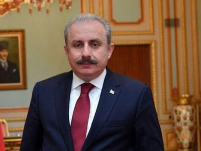 Mustada Şentop: Hak ve Hukukumuzu Antlaşmalar Korumaz