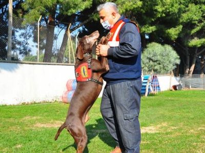 Narkotik Köpeği Volta Emekli Oldu