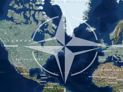 Nato 5. madde nedir, ne yetki tanıyor? Nato 5. maddesinde ne anlatıyor? Nato ülkeleri ve maddeleri