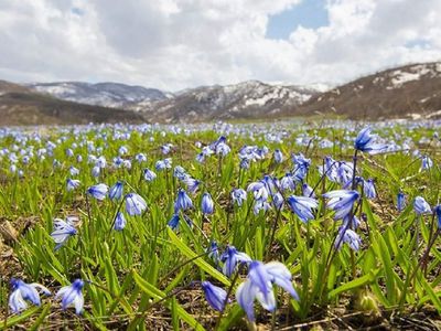 Nevruz ne zaman, hangi gün kutlanacak? 2022 Nevruz Bayramı tarihi
