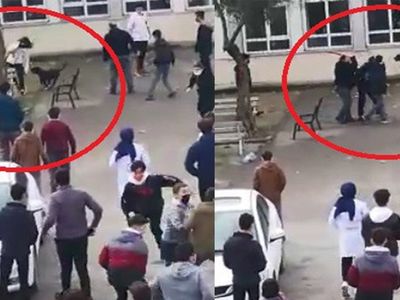 Okul Bahçesine Giren Pitbull Öğrencilere Korku Dolu Anlar Yaşattı