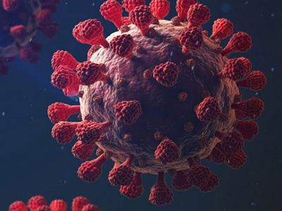 Omicron Bitmeden Yenisi Geldi! Yeni Tehdidin Adı: Delmicron