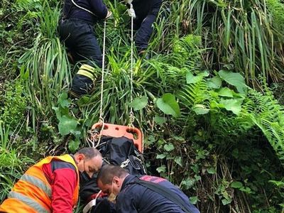 Ordu'da Bir Kişi Kestiği Ağaçla Beraber Dereye Uçtu