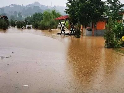 Ordu'da şiddetli yağış hayatı durma noktasına getirdi: Birçok ev sular altına kaldı