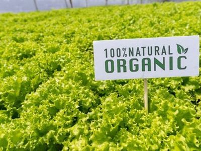 Organik Diye Satılan Ürünlere Dikkat: Göğüs Kanserine Neden Oluyor
