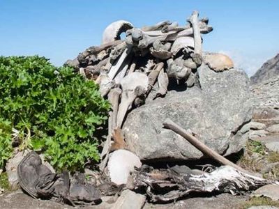 Orman korucusunun korkunç keşfi: Su çekilince yüzlerce iskelet ortaya çıktı!