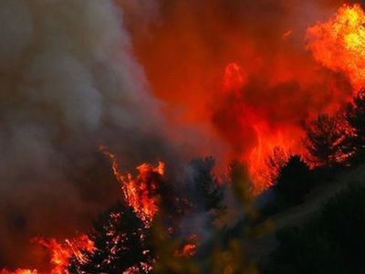Orman Yangınlarını Terör Örgüt Üyeleri 'Ateşin Çocukları İnisiyatifi' ile Üstlendi