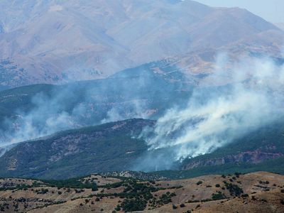Ormanı Ateşe Veren PKK’lılara Operasyon Gerçekleştirildi: 1 Terörist Öldürüldü