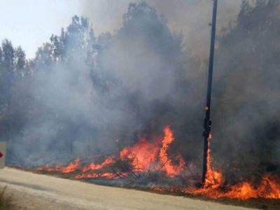 Ormanlarımız Yanıyor! Antalya'nın Ardından Mersin Kırıkkale ve Adana'da Orman Yangınları Çıktı!