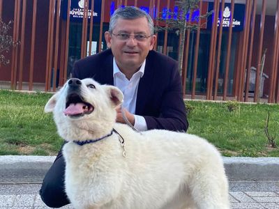 Özgür Özel'den 'başıboş köpek' çıkışı: Gerekirse siper oluruz
