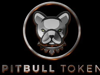 Pitbull coin nedir? Pit coin projesi ve yol haritası