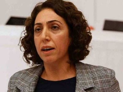 Polise yumruk atan Salihe Aydeniz kimdir? Salihe Aydeniz hangi parti vekili?