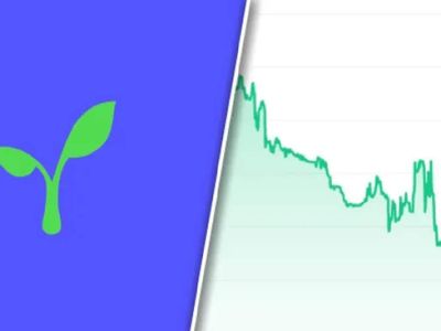 RAD coin nedir? Radicle coin projesi ve yol haritası