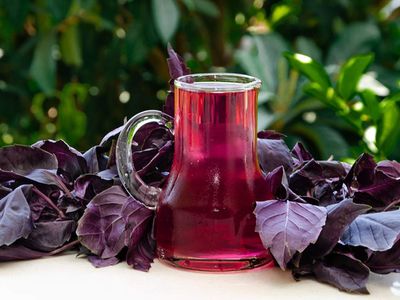 Ramazan’ın vazgeçilmez lezzeti Reyhan Şerbeti nasıl yapılır? Reyhan Şerbetinin faydaları neler? Şifa deposu Reyhan lezzeti tarifi!
