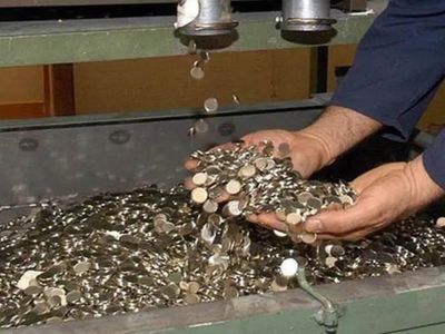 Resmi Gazete’de yayımlandı: Darphane Genel Müdürlüğü 30 kişi alacak! Başvurular başladı