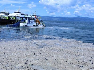 Resmi Gazete'de Yayımlandı! Müsilaj Meclis Araştırma Komisyonu Kurulacak