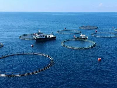 Resmi Gazete’de yayımlandı: Su kaynaklarını korumak için Ulusal Su Kanalı kuruldu