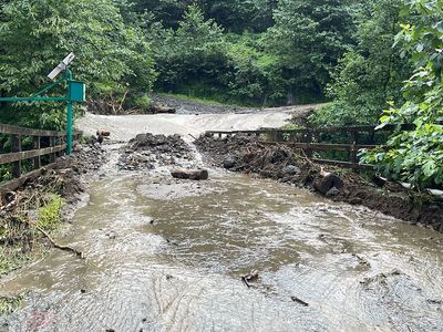 Rize’de sağanak yağış: Heyelan nedeniyle Çayeli’nde evler boşaltıldı