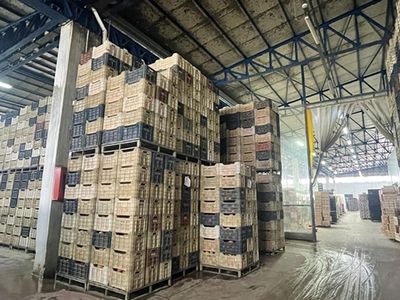 Rusya'dan beklenen hamle geldi, bu ürünlerin ihracatı yasaklandı!