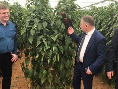 Rusya'dan beklenen resmi yazı geldi: Türkiye’ye uygulanan sebze meyve yasakları kaldırıldı!