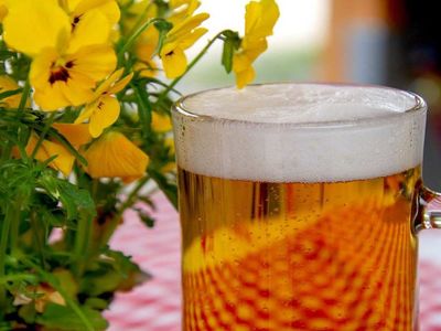 Rüyada bira içmek ne anlama gelir? Rüyada bira içmenin anlamı ve tabiri