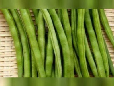 Rüyada börülce görmek ne demektir? Börülce rüyasının tabiri ve anlamı