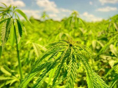 Rüyada eroin görmek ne anlama gelir? Rüyada eroin görme anlamı