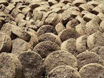 Rüyada hayvan dışkısı görmek ne anlama gelir? Rüyada hayvan dışkısı görmenin anlamı