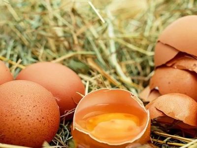Rüyada yumurta görmek ne anlama geliyor? Rüyada yumurta görmenin psikolojik yorumu nedir? Nelere dikkat etmek gerekir?