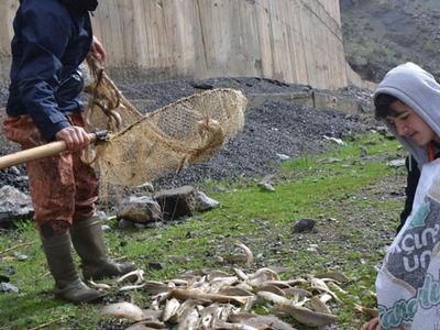 Sağanak Yağışı Fırsata Çevirip Çay Kenarında Balık Avladılar