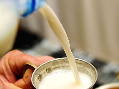 Sağlıklı olacağımızı zannedip zehir içiyoruz: Süte su ve nişasta katıldığı nasıl anlaşılır? Hileli süt nasıl anlaşılır?