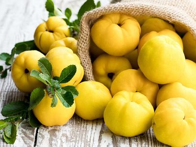 Sağlıktan Güzelliğe Ayvanın Faydaları