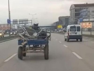 Sahibinin elinden kaçan at Bursa trafiğinde tehlikeli anlar yaşattı: Sahibi peşinden koştu