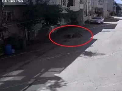 Sahipsiz köpeklerin saldırısı: Bursa'da 3 çocuktan 2'si yaralandı, o anlar güvenlik kamerasında!